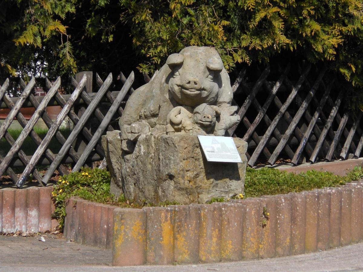Westfalenhof Garni ヴィリンゲン エクステリア 写真