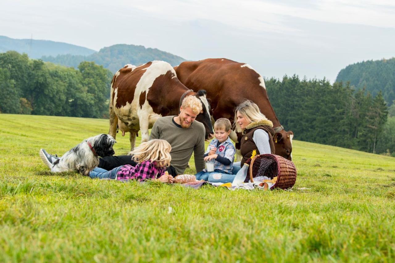 Westfalenhof Garni ヴィリンゲン エクステリア 写真