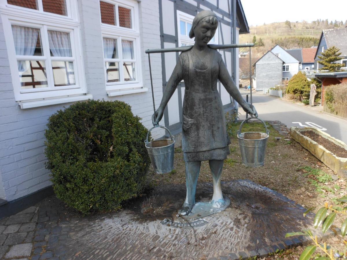 Westfalenhof Garni ヴィリンゲン エクステリア 写真