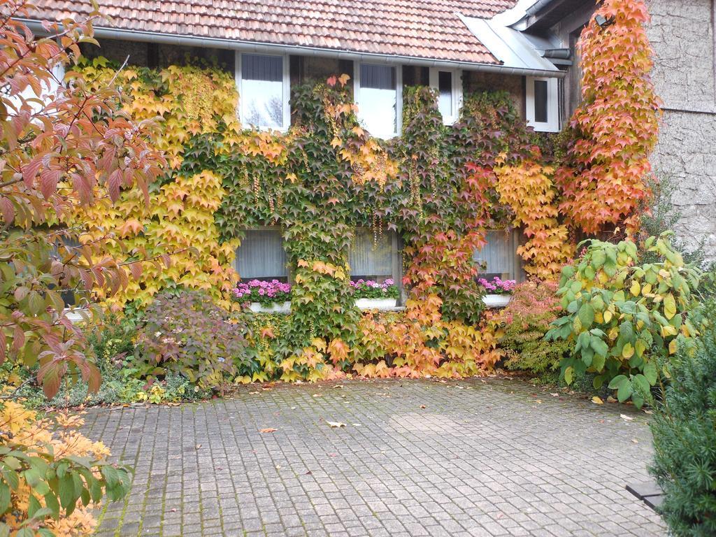 Westfalenhof Garni ヴィリンゲン エクステリア 写真