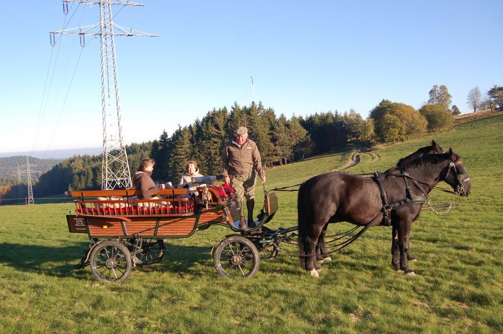 Westfalenhof Garni ヴィリンゲン エクステリア 写真